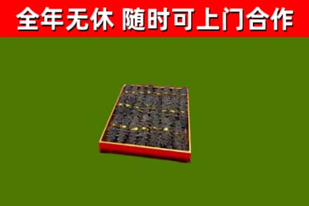 肇源县回收海参